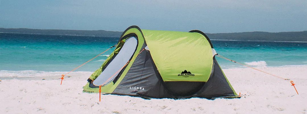Malamoo Cicara 1.0 - DISCONTINUED