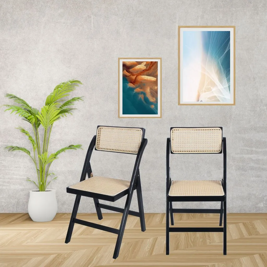 Set of 2 Tristan Bamboo Wood Folding Chair,